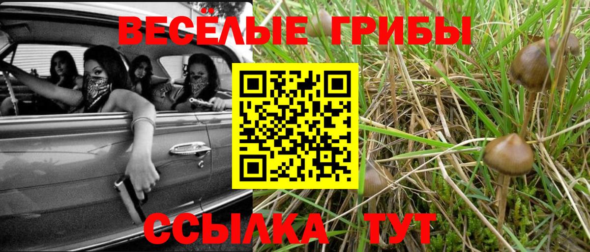 Галлюциногенные грибы ЛСД  Псилоцибиновые грибы GOLDEN TEACHER  Вход с VPN  Саяногорск 