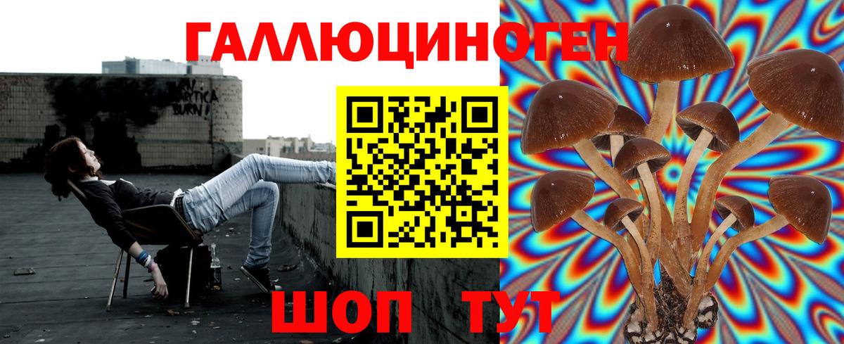 Галлюциногенные грибы MAGIC MUSHROOMS Саяногорск